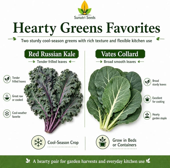 Salad Greens Variety Pack Seeds – 9 Heirloom Leafy Green Vegetable Seeds | Lettuce Kale Spinach Arugula Collards Beet Greens Mustard Cress for Raised Beds Containers Garden