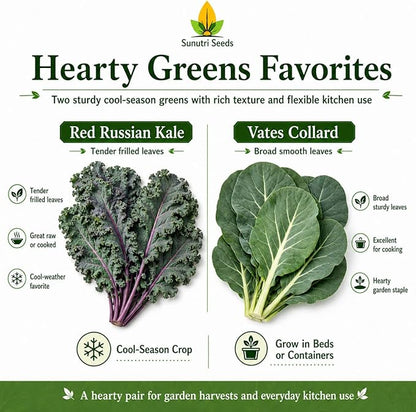 Salad Greens Variety Pack Seeds – 9 Heirloom Leafy Green Vegetable Seeds | Lettuce Kale Spinach Arugula Collards Beet Greens Mustard Cress for Raised Beds Containers Garden
