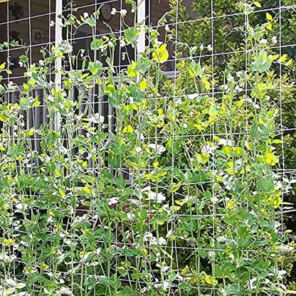 Toolazy Trellis Netting 5 x 350 ft - Heavy Duty Nylon Garden Netting with 6 Inch Mesh, Soft Plant Support Net for Tomatoes, Cucumbers, Peas, Vine Climbing Vegetables, Indoor Outdoor Greenhouse