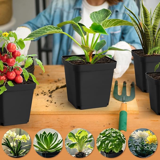 Square Nursery Pots 5.5 Inch, Plastic Plant Pot with Drainage Holes, 30 Pcs Reusable Seedling Starter Pots Garden Flower Pots Planters for Indoor Plants, Transplanting, Succulents, Cuttings