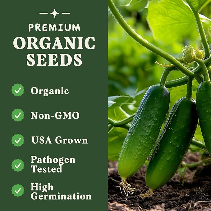 Seedboy Organic Cucumber Seeds for Planting Indoor and Outdoor, Non-GMO and USDA Certified Vegetable Seed Packet for Hydroponic Garden Indoor or Planting Outdoors (Marketmore Cucumber)