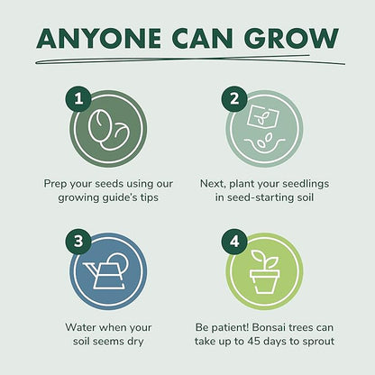 Garden Republic Bonsai Tree Kit - Mini Bonsai Seeds, 4 Types - Seed Starter Plant Growing Kit - Potting Soil Jute Bags Pruning Shears Tool and Plant Markers