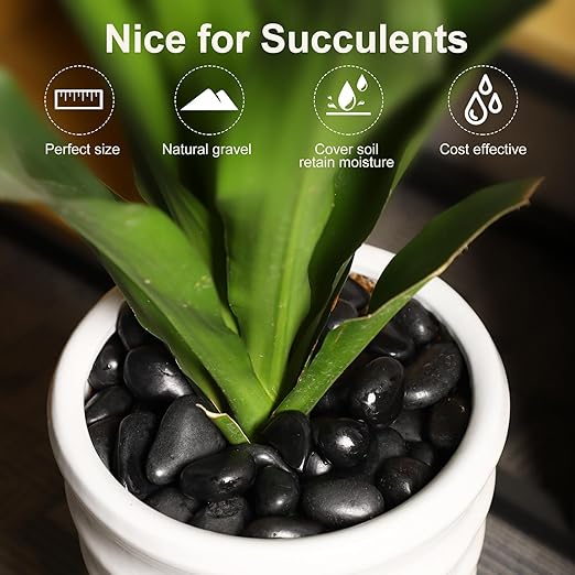 11LB Black River Rocks for Vases 3/4-1 5/8Inch River Stones Decorative Rocks for Plants Indoor Pebbles for Crafts Decorative Stones Gravels Rocks for Plants Outdoor