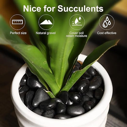 20LB Black River Rocks for Vases 3/4-1 5/8Inch River Stones Decorative Rocks for Plants Indoor Pebbles for Crafts Decorative Stones Gravels Rocks for Plants Outdoor