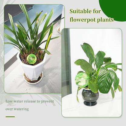3pcs Large Plant Self Watering Globes, 17.5 oz Plastic Water Bulbs Top Fill, Plant Watering Devices System Slow Release Terracotta, Water Spikes Stakes for Indoor(3pack)