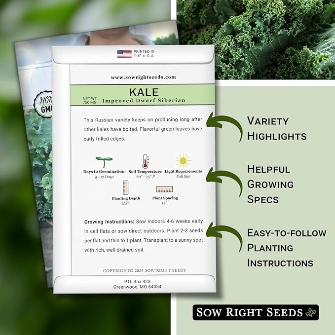 Sow Right Seeds - Dwarf Siberian Improved Kale Seed for Planting - Non-GMO Heirloom Packet with Instructions to Plant a Home Vegetable Garden - Very Nutritious Superfood - Classic Variety (3)