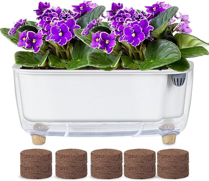 Oliz Self Watering Planter with Coco Coir Pellets, 11.8 Inch Plastic Rectangular Windowsill Plant Pot with Drainage Holes, High Clear Modern Decorative Flower Pot for Indoor Plants, African Violets