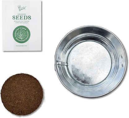 Buzzy Seeds Spruce Christmas Tree Grow Kit - Metal Windowsill Planter - Complete Indoor/Outdoor Gardening Kit with Seeds, Coconut Husk Growing Medium & Genuine Pots - 100% Grow Guarantee