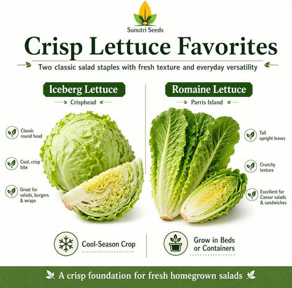 Salad Greens Variety Pack Seeds – 9 Heirloom Leafy Green Vegetable Seeds | Lettuce Kale Spinach Arugula Collards Beet Greens Mustard Cress for Raised Beds Containers Garden