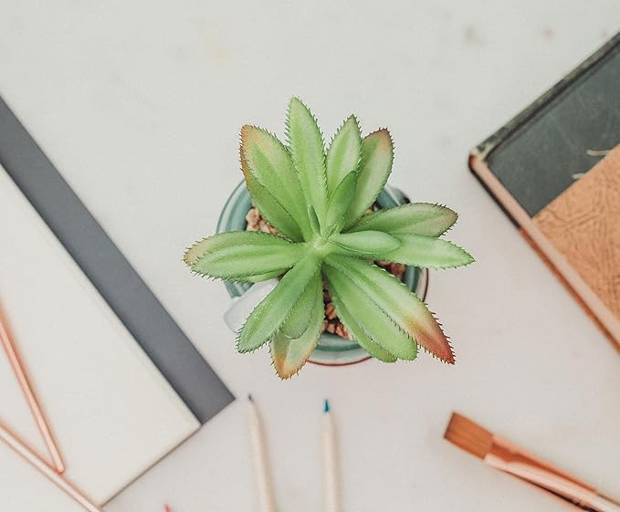 Star Wars Boba Fett Helmet 3-Inch Ceramic Planter with Artificial Succulent | Small Flower Pot, Faux Indoor Plant for Desk Shelf, Trinket Tray | Cute Home Decor Gifts and Collectibles