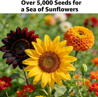 15+ Varieties 5000+ Sunflower Seeds for Planting, 4 Oz Heirloom Sunflower Mix Seeds to Plant (Giant Mammoth, Dwarf) Garden Variety Pack, High Germination, Attracts Pollinators