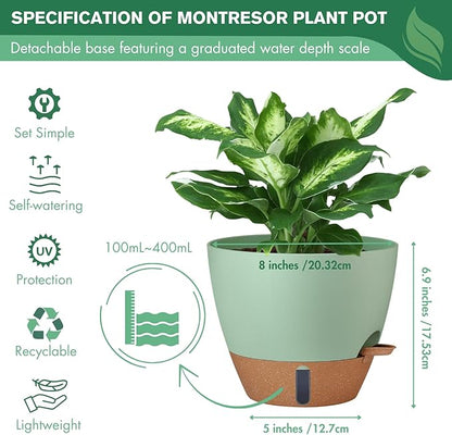 montresor 2 Pack 8 inch Plant Pots, PP Plastic Self Watering Plant Pot with Drainage and Tray for Indoor Outdoor Plants, Water Level Window & Reservoir Flower Pots Decorative Planter (Green)