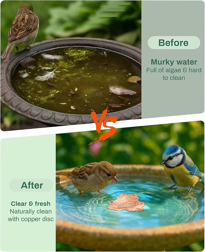 Bird Bath Purification Disk Pure Copper Outside Winter Solar Power Birdbath Hummingbird Window Garden Feeder Ground Bowl Cage Dispenser Pedestal Cleaner Water Fountain Garden Lover Gift Frog