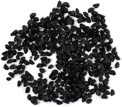 Organic Onion Seeds (Bunching Evergreen) - Approx 200 Seeds - USDA Organic, Non-GMO, Open Pollinated, Heirloom, USA Origin