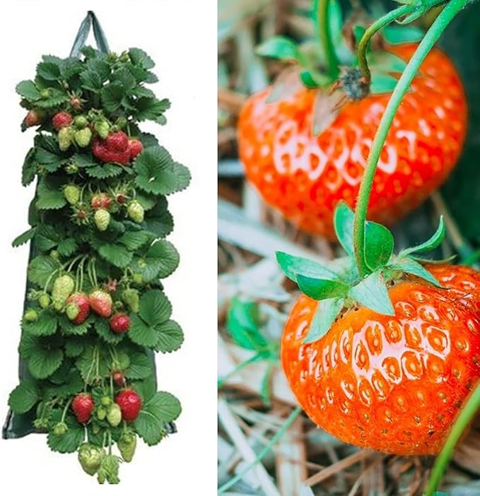 2024 Hanging Strawberry and Tomato Planter Bags - Upside-Down Patio Garden Grow Bags With Handle for Outdoor Flower Planting (5)
