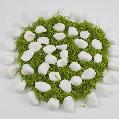 40 lbs White Polished Landscape Stones, 0.5-1 Inch Decorative Rocks for Gardens, Pathways, Pots, Vase Fillers, Aquarium Decoration, Glass Containers, and Yard Borde (Pure White, Weight: 40 LB)