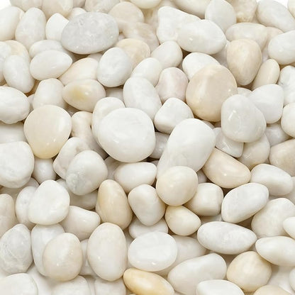 Mr. Fireglass 10lb White River Rocks, 3/8 inch Natural Decorative Polished Pebbles Aquarium Gravel Stones for Landscaping, Indoor Plants, Vase, Succulent, Fish Tank