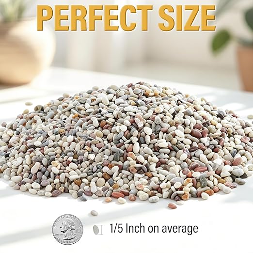 2.4lb Succulent and Cactus Gravel Pebbles, 1/5 Inch Mixed Color Natural Rocks for Fish Tank, Indoor Plants, Aquarium, Vases, Landscaping