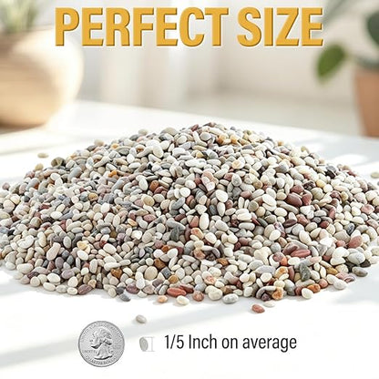 2.4lb Succulent and Cactus Gravel Pebbles, 1/5 Inch Mixed Color Natural Rocks for Fish Tank, Indoor Plants, Aquarium, Vases, Landscaping