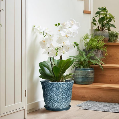 10 Inch Plant Pot - Ceramic Planter for Indoor Outdoor, Round Flower Pots with Drainage Hole and Saucer, Modern Decorative Planter for Plants, Home Office Decor, Plant Lover Gifts, Blue