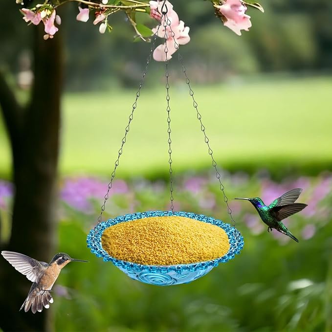 2 Pack Hanging Plastic Bird Baths and Feeders Set for Outdoors, Bird Water Bowls & Seed Trays to Attract Wild Birds, Garden Yard Decor Gift, Blue
