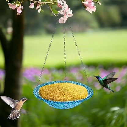2 Pack Hanging Plastic Bird Baths and Feeders Set for Outdoors, Bird Water Bowls & Seed Trays to Attract Wild Birds, Garden Yard Decor Gift, Blue