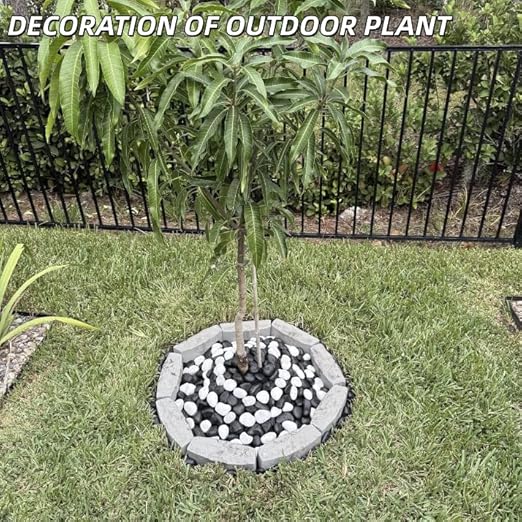 9lb Black River Rocks for Plants, 1-3 Inch Pebbles for Indoor Plants, Polished Garden Rocks Outdoor Landscaping, Decorative Stones for Vases, Succulents, Aquarium, Walkways
