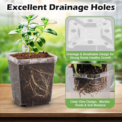 3.3 Inch Clear Nursery Pots with Drainage,90 Pack Square Seedling Pots with Plant Lables,Reusable Seed Starter Pots for Succulents Transplanting Herbs Flowers Tomato Windowsill Gardening