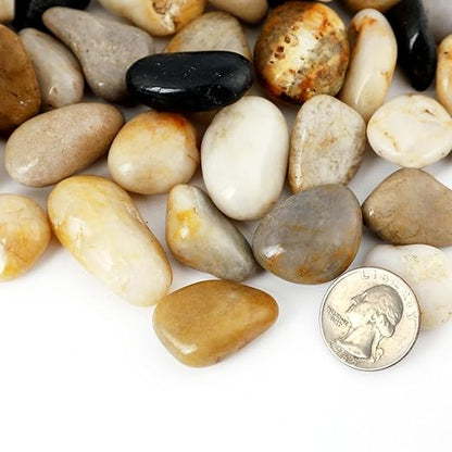 20LB Polished River Rocks for Plants with Mixed Colors 1/4-5/8Inch Decorative Natural River Stones Pebbles for Outdoor Small Stones Gravels for Home Decoration