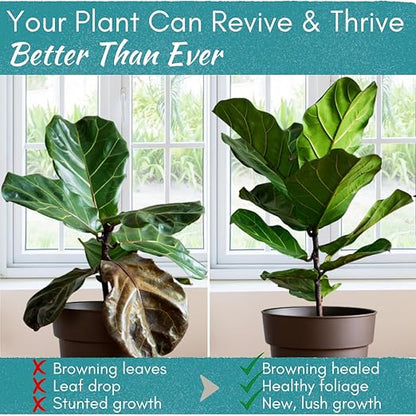 Root Rot Repair for Houseplants – Recovery Drops Root Supplement for Overwatering or Shock | Heals Roots, Prevents Brown Spots & Dropping Leaves (8 oz)