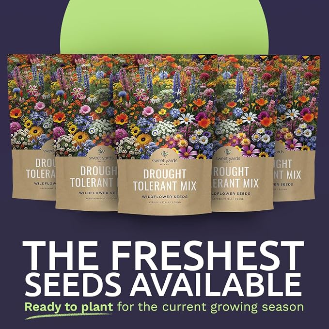 Drought Tolerant Wildflowers Mix – Bulk 5 Pounds – Over 600,000 Open Pollinated Non-GMO Seeds – 21 Different Dryland Species