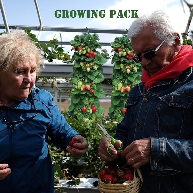 2024 Hanging Strawberry and Tomato Planter Bags - Upside-Down Patio Garden Grow Bags With Handle for Outdoor Flower Planting (5)
