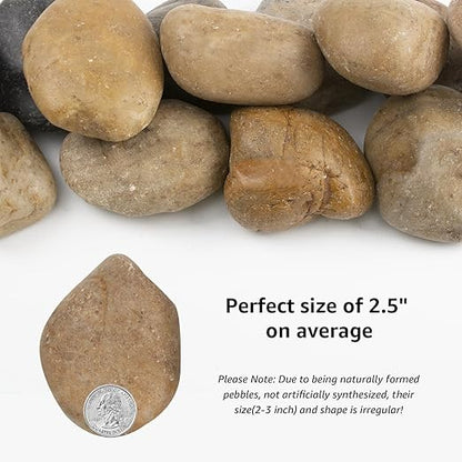 Stone