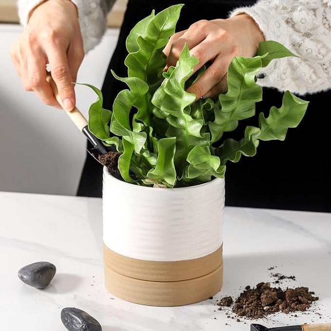 HASENSE Small Plant Pot, 4.6 Inch Ceramic Succulent Flower Pots with Drainage Hole and Tray, White Indoor Planter Pot for Cactus, Gardening Home Desktop Office Windowsill Decoration Gift, Set of 4