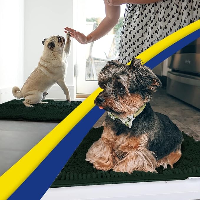 Muddy Mat® | Super Water Absorbent Door Mat Indoor, Microfiber Quick Dry Chenille Entryway Rug,Slip Resistant Front Door Mat,Indoor Mats for Entryway,Machine Washable Pet Rug, Hunter Green 16" x 24"