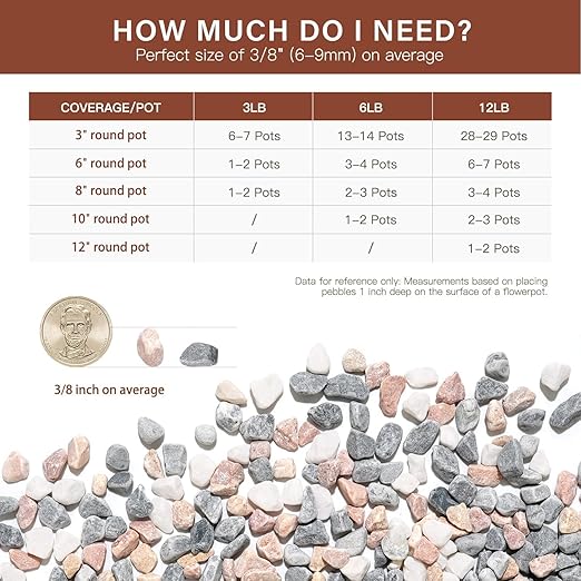 NUPICK 6 lbs Pebbles for Indoor Plants, 3/8 Inch Pea Gravel for Fish Tank, Decorative Rocks for Succulent, Natural River Stones for Vases, Cactus, Landscaping, Bird Bath, Aquarium, Mixed