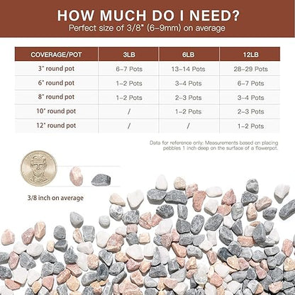 NUPICK 6 lbs Pebbles for Indoor Plants, 3/8 Inch Pea Gravel for Fish Tank, Decorative Rocks for Succulent, Natural River Stones for Vases, Cactus, Landscaping, Bird Bath, Aquarium, Mixed