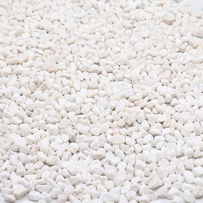 White Rocks. Decorative Pebbles. 1/5 Inch 2 lbs for Garden, Landscaping, Indoor, Vase Fillers, Crafting, Succulents, Pots, Plants (Mini, Tumbled, 2)