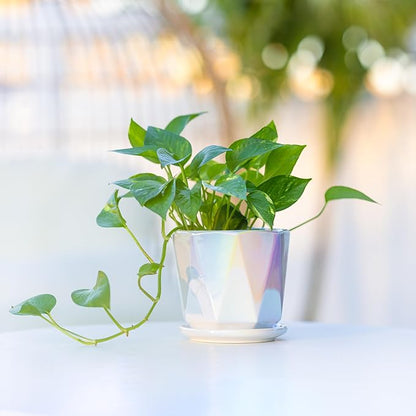Coco Andrea Ceramic Plant Pots for Indoor Plants with Drainage & Saucers - 5-inch Iridescent White Planters for Houseplants, Succulents & Flowers - 2-Piece Housewarming Gift Set (2, Large)