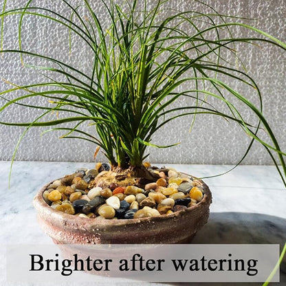 FANTIAN 40 lbs Aquarium Gravel, 2/5 Inch Pea Gravel for Fish Tank, Decorative Rocks for Freshwater Tank, Outdoor Pond, Garden Landscaping, Terrarium, Soil Drainage