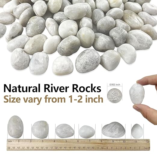 45LB White River Rocks, High Polished Pebbles, 1–2 inch Decorative Rocks for Garden Landscaping, Lava Rocks for Plants, Aquarium & Fish Tank Rocks, Outdoor Decorative Stones & Pathway Design