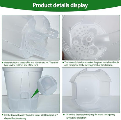 Cdd's Path 6-Pack Bare Root Planter Self Watering Pots Set with Holes for Indoor/Outdoor Plants, 2 Each of 5, 6 and 7 Inch Planter Pot with Watering Hole/Reservoir and Air Pipes, Clear