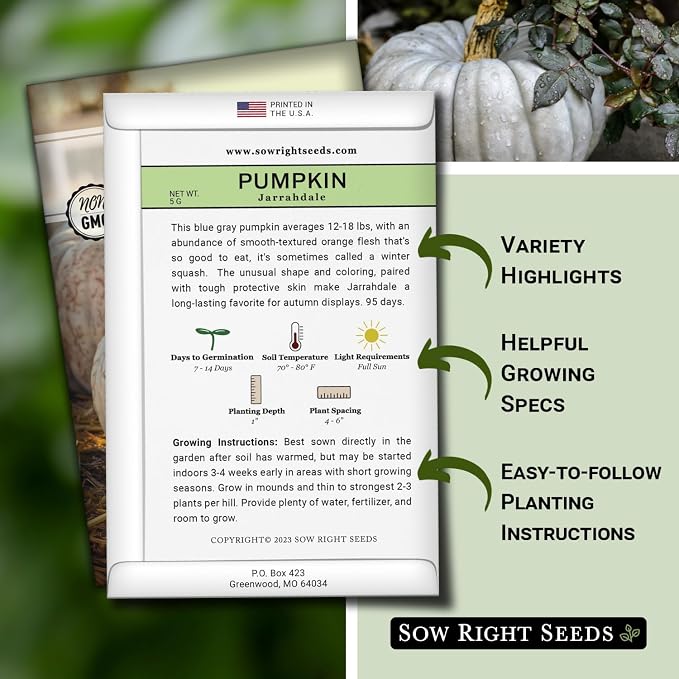 Sow Right Seeds - Jarrahdale Pumpkin Seeds for Planting - Non-GMO Heirloom Packet with Instructions to Plant & Grow an Outdoor Home Vegetable Garden - Unique Grey Blue Variety - Fall Decor (2)