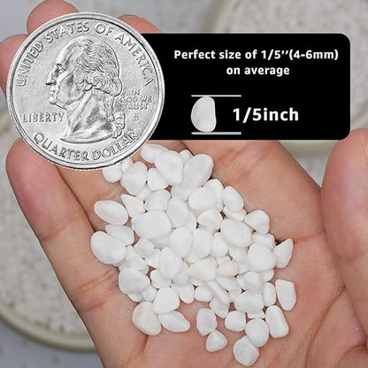 2lbs Natural Gravel Pebbles for Succulents and Cacti, 1/5 Inch Decorative River Stones – Perfect for Vases, Aquariums, Terrariums, and Outdoor Gardening, Mixed Colors (White, 2 Pounds)