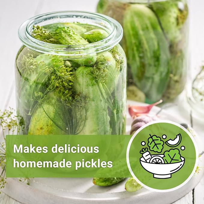 Sow Right Seeds - National Pickling Cucumber Seeds for Planting - Non-GMO Heirloom Packet with Instructions to Plant and Grow a Home Vegetable Garden - Famous Variety for Homemade Pickles (4)