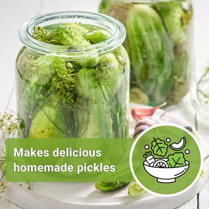 Sow Right Seeds - National Pickling Cucumber Seeds for Planting - Non-GMO Heirloom Packet with Instructions to Plant and Grow a Home Vegetable Garden - Famous Variety for Homemade Pickles (4)