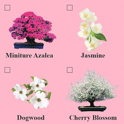Eve's Jasmine Bonsai Seed Kit, Flowering, Complete Kit to Grow Jasmine Bonsai from Seed * Cannot Ship to Louisiana LA