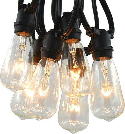 Hometown Evolution, Inc. Commercial Grade Vintage Edison Outdoor String Lights (ST40 Clear - Commercial Black Wire, 100 ft)