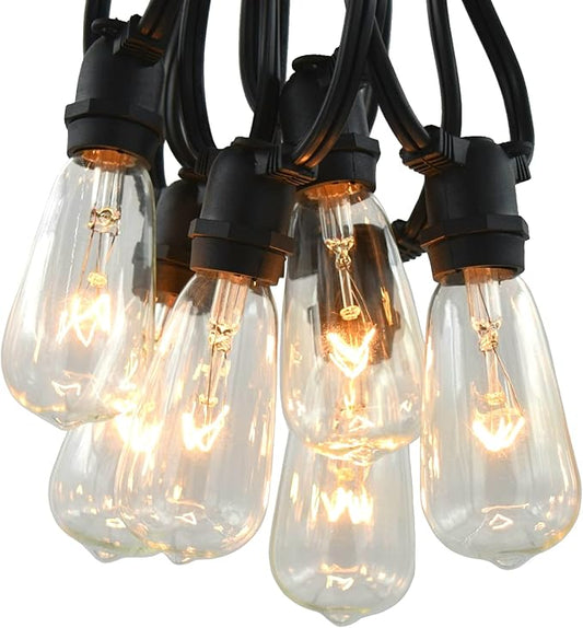 Hometown Evolution, Inc. Commercial Grade Vintage Edison Outdoor String Lights (ST40 Clear - Commercial Black Wire, 100 ft)