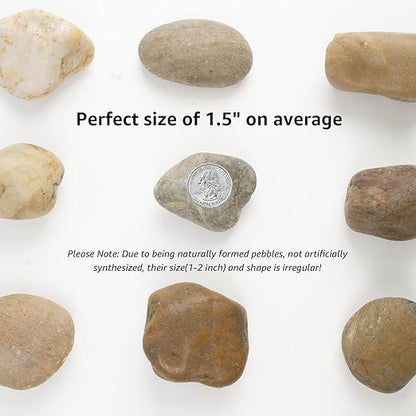 10LB Mixed Stones Pebbles River Rocks, Natural Beach Pebbles,1-2 Inch Decorative River Rocks for Landscaping Garden Paving Plant Rocks Crafting Walkways and Outdoor Decorative Stone